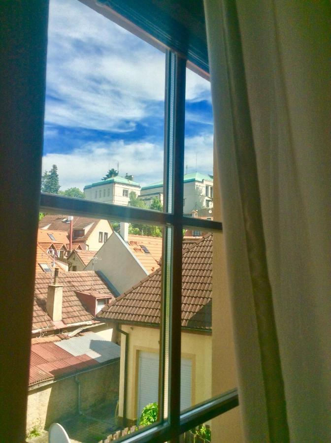 Fairy-tale From Lev I Sova Inn Prague